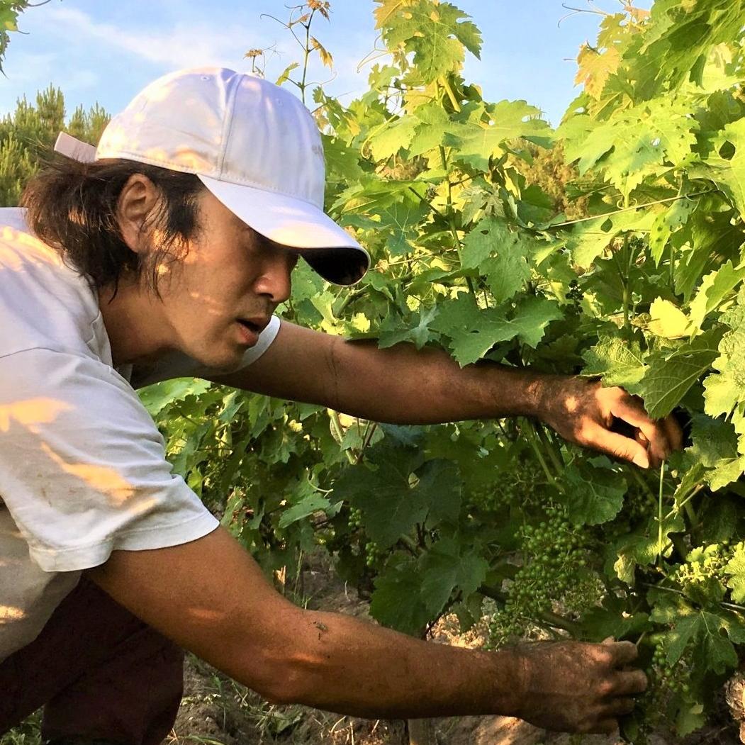 Miracle | RAW WINE